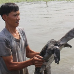 Giàu lên nhờ nuôi ba ba gai